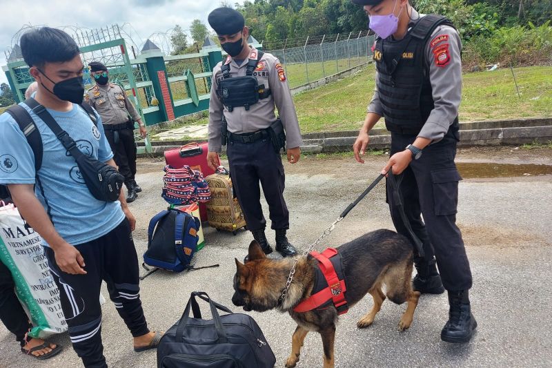 Polda Kalbar patroli gunakan anjing pelacak di perbatasan