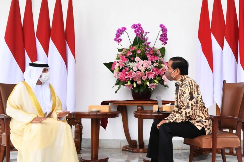 Presiden Jokowi terima kunjungan Delegasi Persatuan Emirat Arab