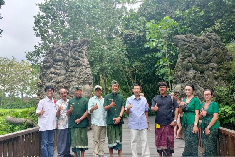 Anggota DPD harapkan Pemda bantu kendalikan kera di Monkey Forest