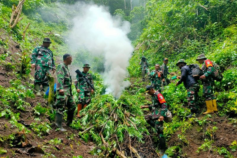 Kemarin, imbauan BNPT hingga temuan ladang ganja