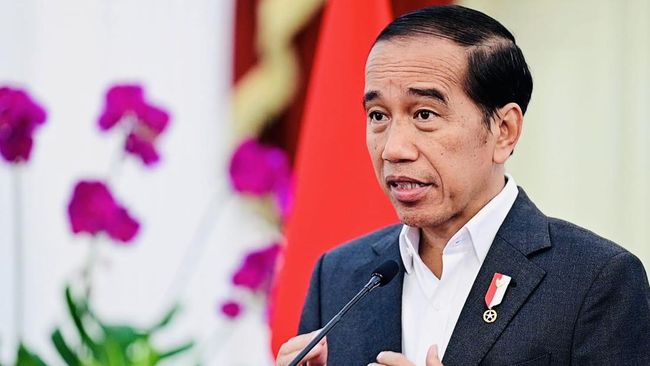 Presiden Jokowi akan melantik Menpora dan Kepala BNPT pada minggu depan, namun belum menyebut waktunya secara spesifik.