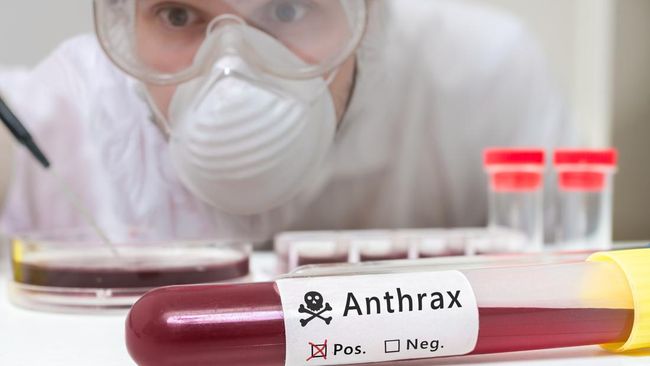 Kemenkes menyinggung penyakit antraks, yang merupakan penyakit berasal dari hewan, dapat menjadi salah satu senjata biologis untuk menyerang suatu wilayah.