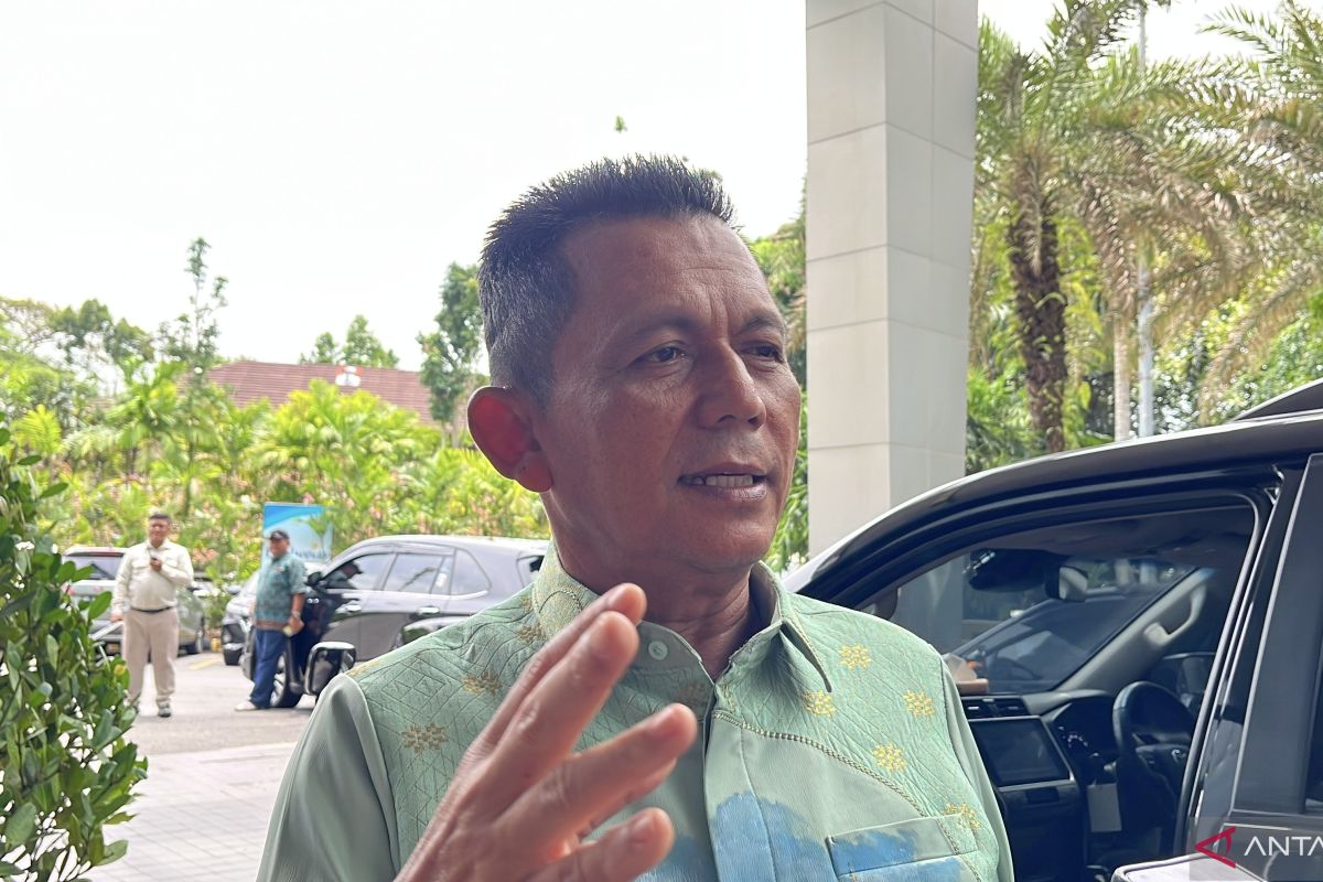 Gubernur Kepri: PP Tunas lindungi anak dari dampak negatif medsos