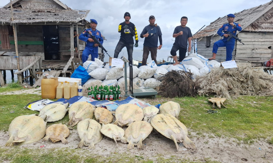 Satpolairud Bangkep Gagalkan Dugaan Perdagangan Ilegal 20 Ton Bambu Laut