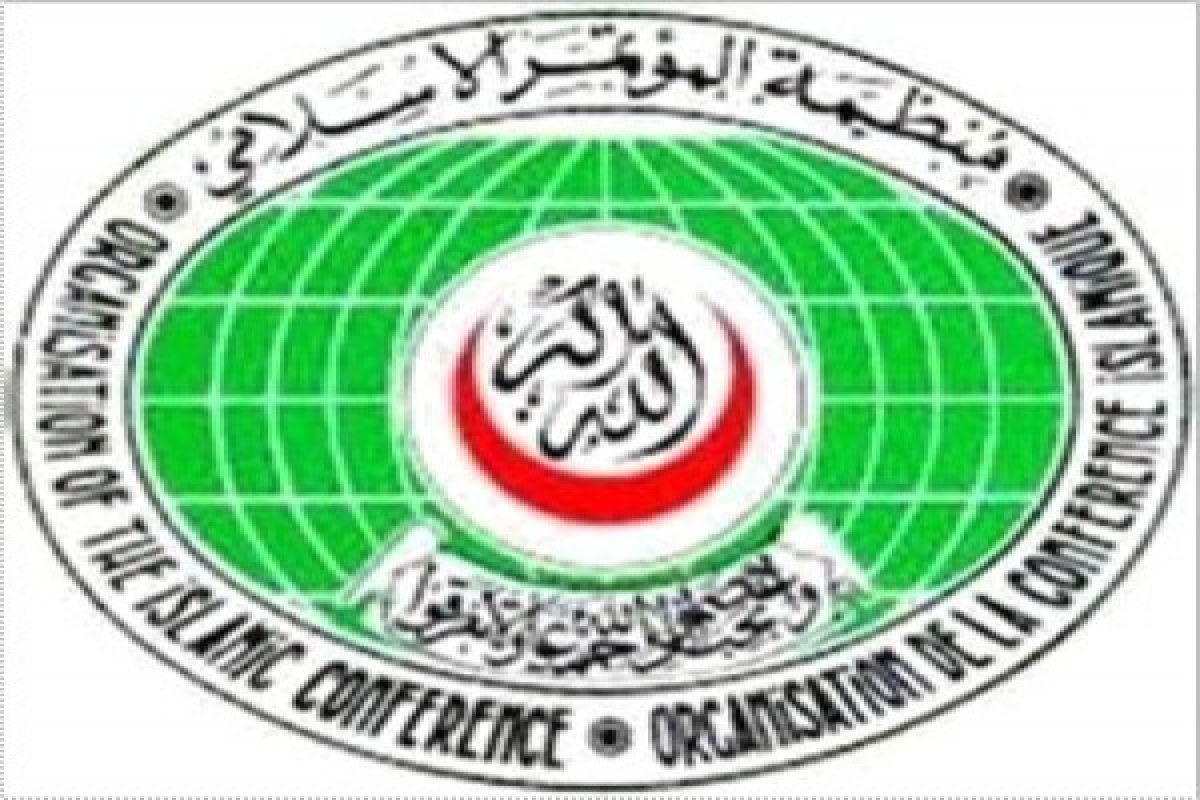 OKI tegaskan kembali dukungannya untuk strategi PBB berantas terorisme