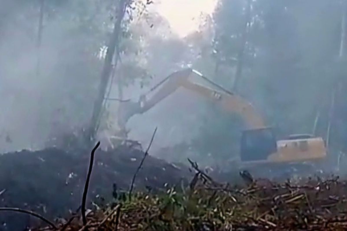Pakar lingkungan dukung Prabowo kuatkan sanksi pelaku karhutla