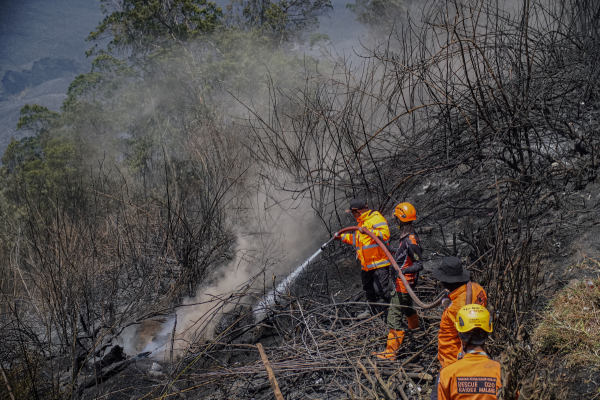 Empat Orang Tewas saat Padamkan Karhutla Bromo, DPR Desak Penanganan Diperkuat