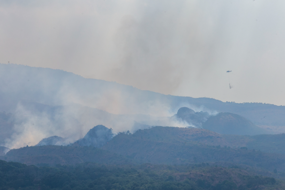 Karhutla di Garut Meningkat 185 Persen, 173,7 Hektare Lahan Hangus Terbakar